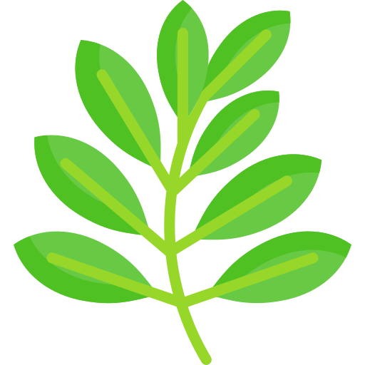 Leaf Illustration